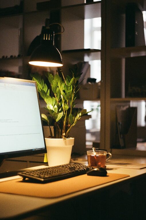 Tips for Creating a Cozy and Functional Home Office Space