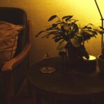 Tips for Creating a Cozy and Inviting Home Environment